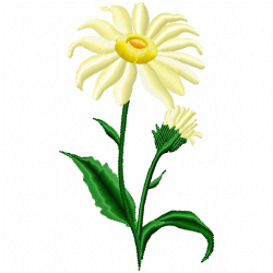 Flowers Embroidery Design 6 Flowers Embroidery Design 6